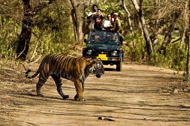 Namdapha National Park