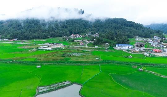 Ziro Valley